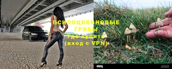 прущие крисы Вязники