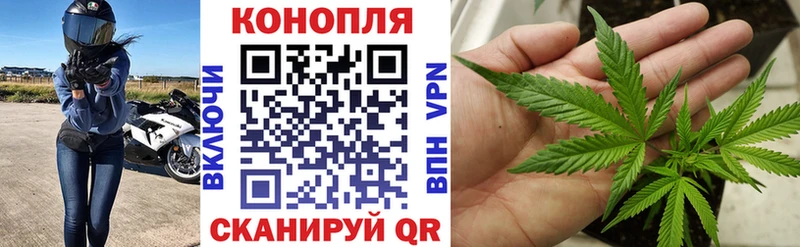 купить   KRAKEN как войти  Канабис тримм  Горняк 